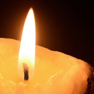 Photo de Nives GAGLIARDI