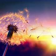 Photo d’Yvonne MONNIN