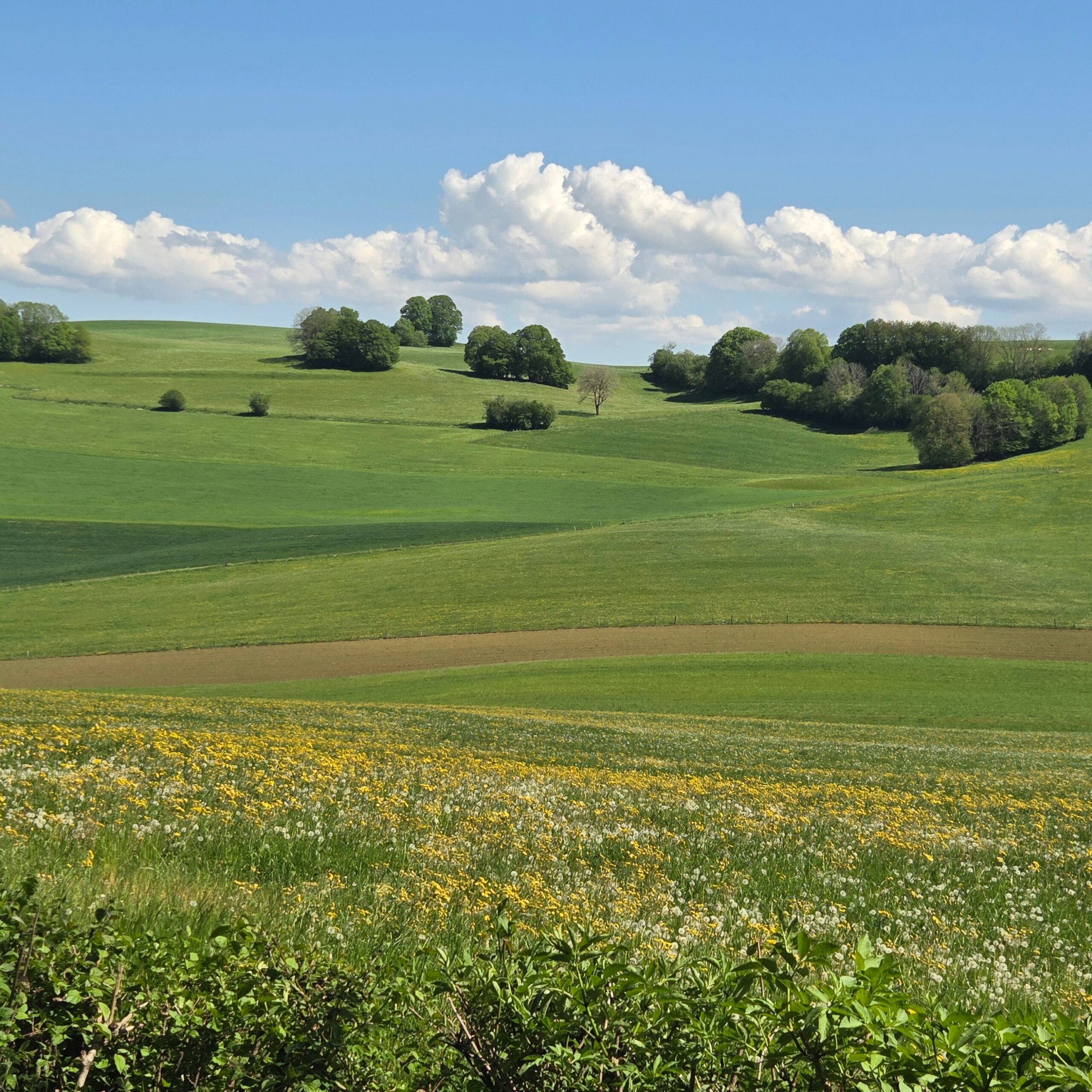 Photo d’André VERMEILLET